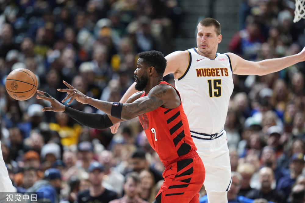 的常青树选 的常青树选